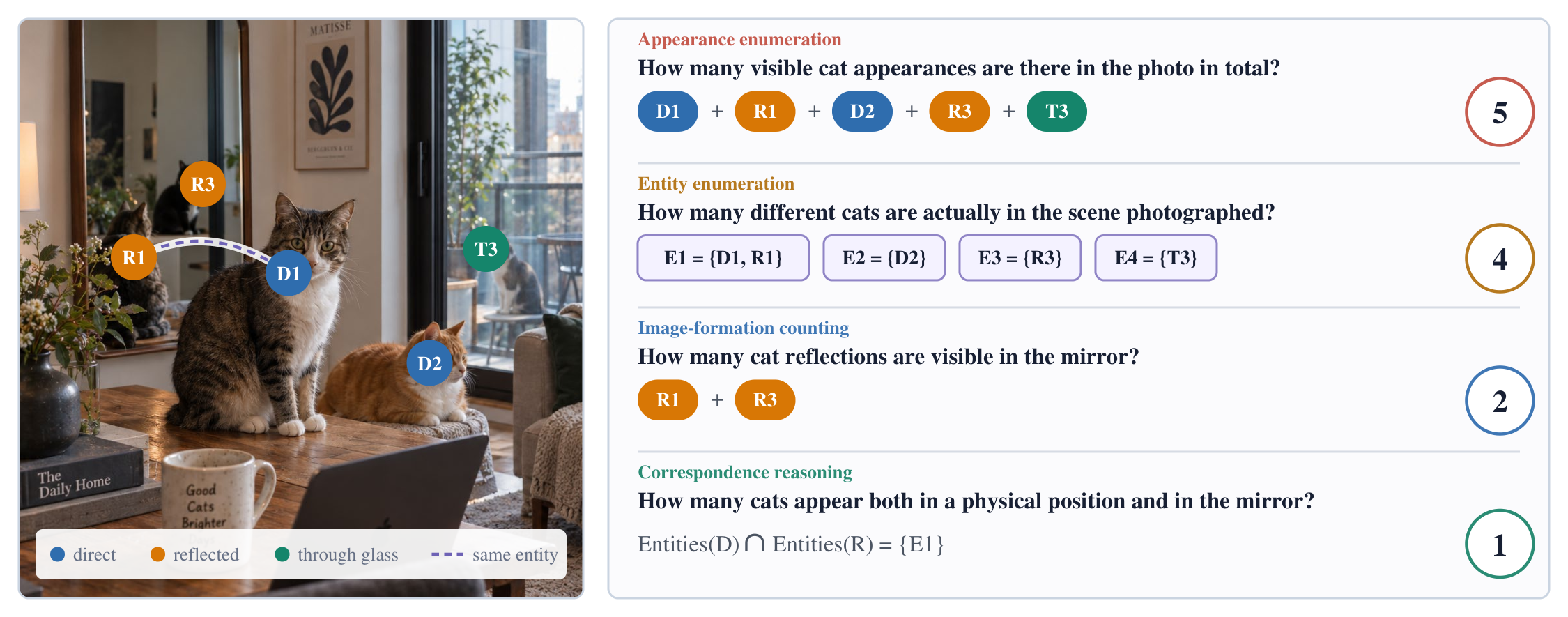 PhysCount questions distinguish the appearance count from physical entities and their correspondences.